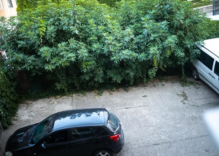 Jankovic ארנדלובאץ'